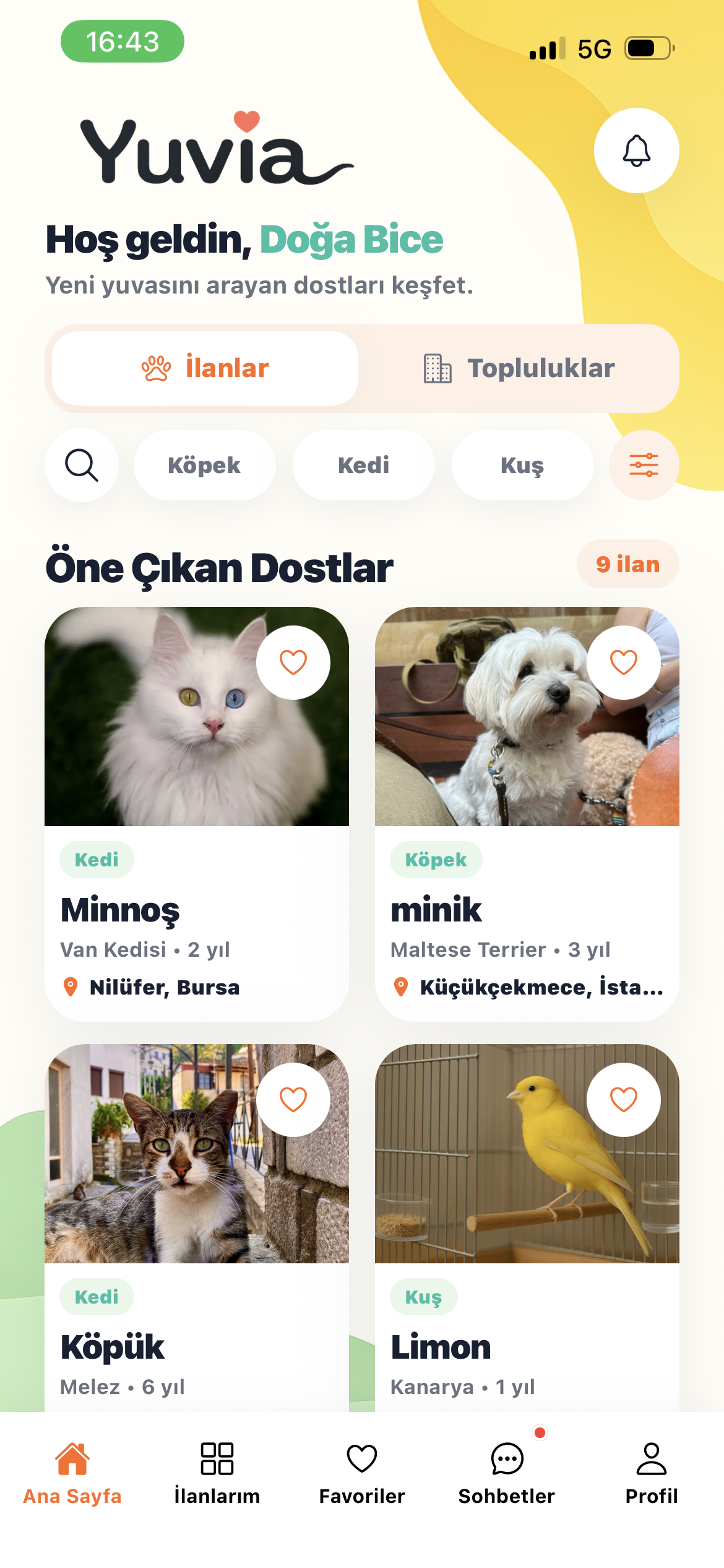 Sahiplen: Keşfet ekranı