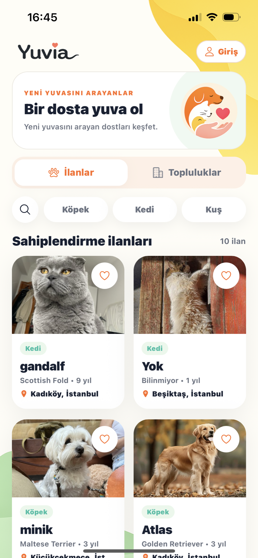 Yuvia güncel sahiplendirme ekranı