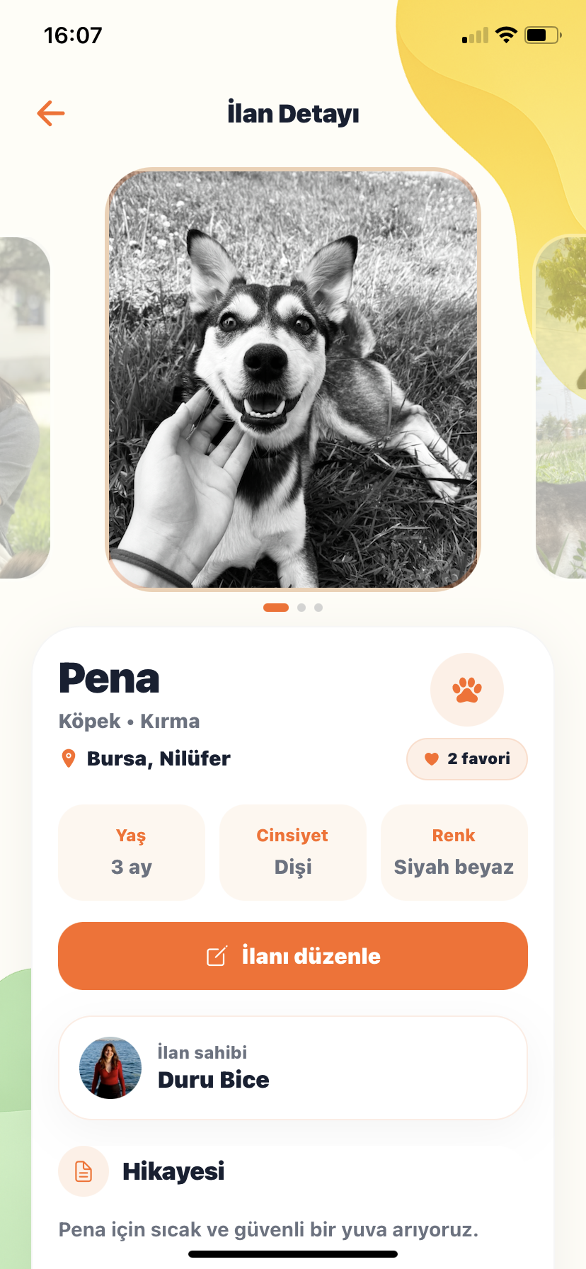 Yuvia mobil uygulamasında dost ilan detay ekranı